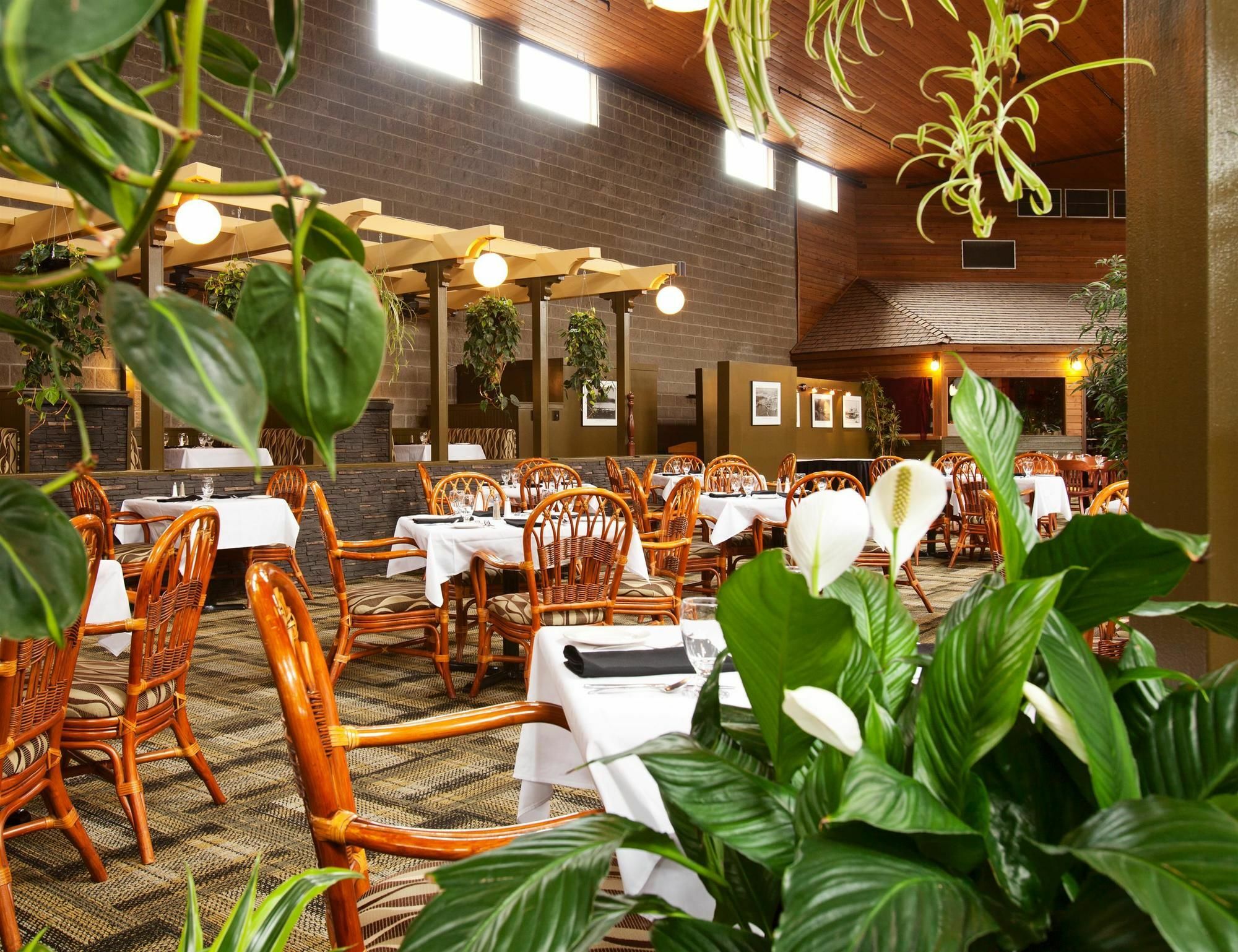 Surestay Hotel By Best Western 칠리왝 외부 사진